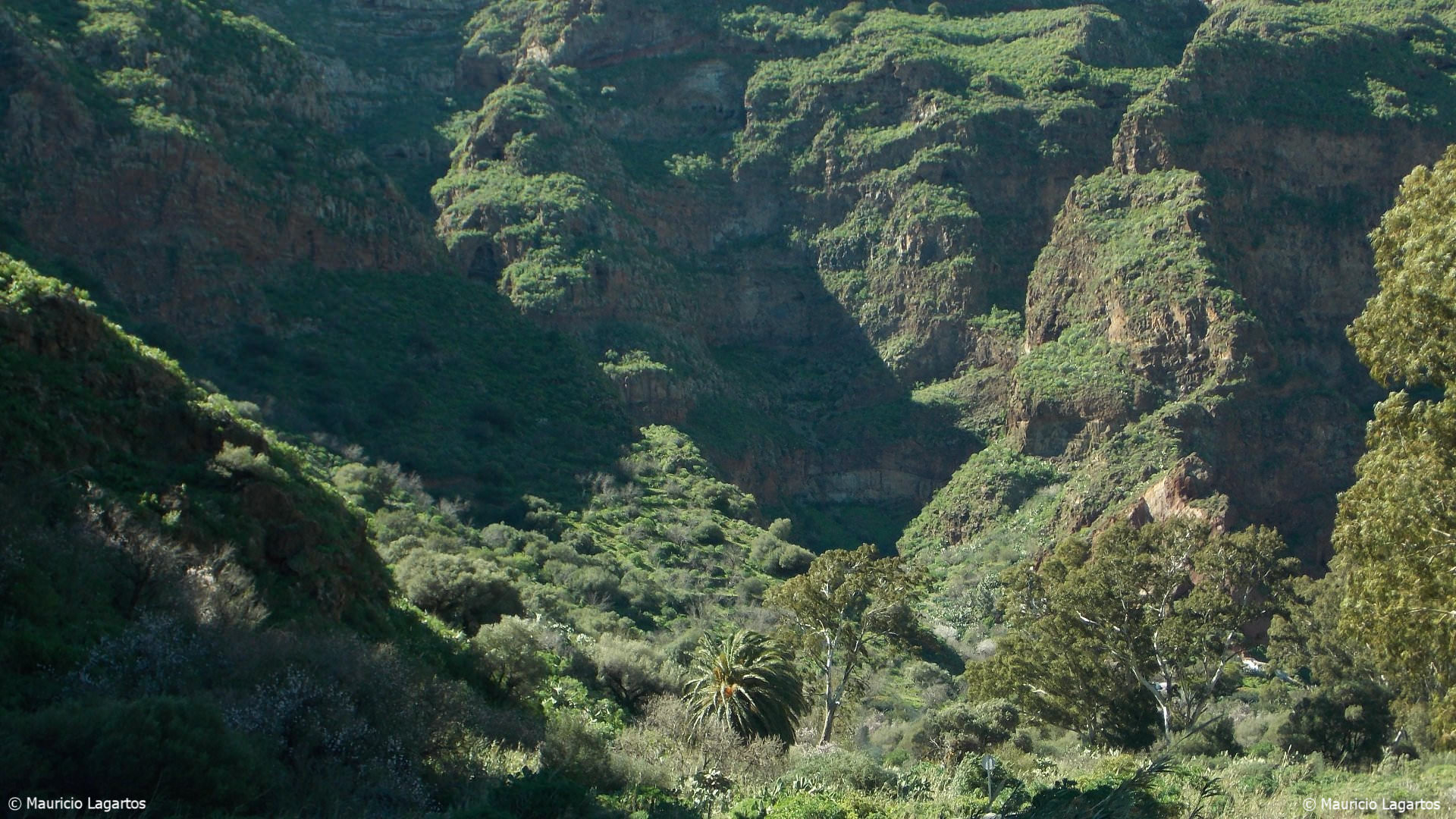 Spanish courses in Gran Canaria